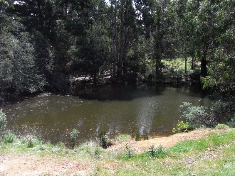 1564 Wilmot Road, Forth TAS 7310