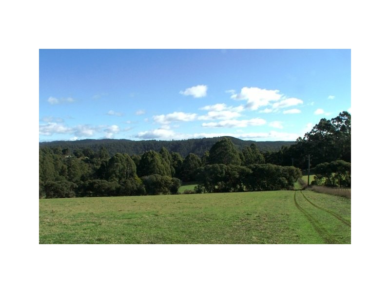 1564 Wilmot Road, Forth TAS 7310