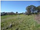 26 South Road, Penguin TAS 7316