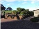.34 Littles Road, Forth TAS 7310