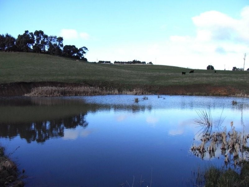 .34 Littles Road, Forth TAS 7310
