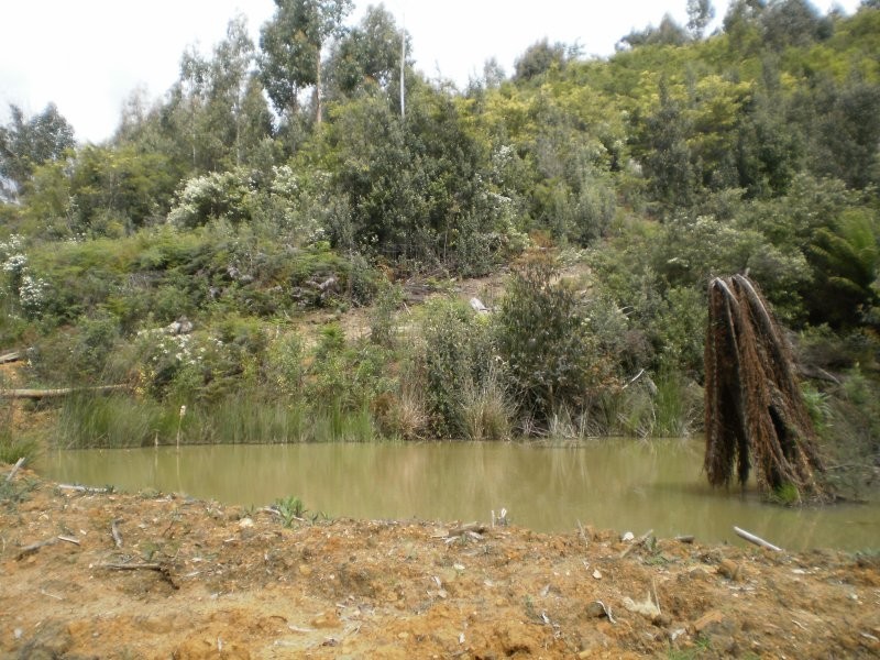 Mannings Jetty Road, North Motton TAS 7315