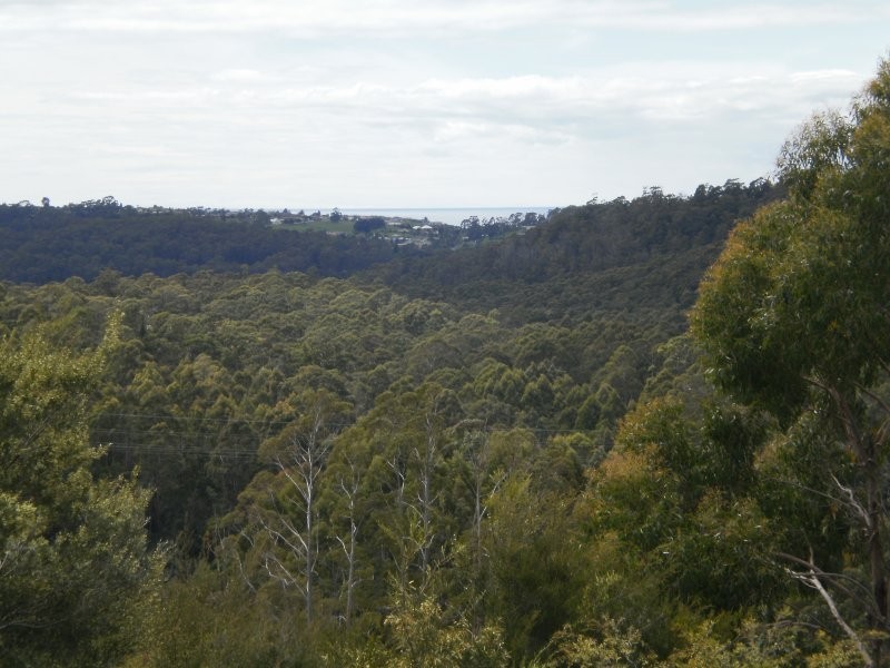 Mannings Jetty Road, North Motton TAS 7315