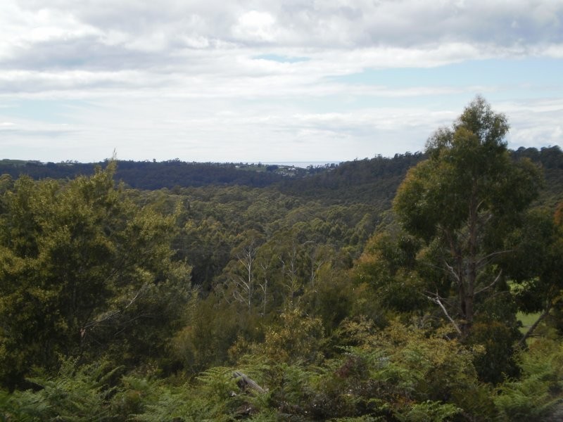 Mannings Jetty Road, North Motton TAS 7315