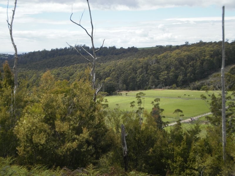 Mannings Jetty Road, North Motton TAS 7315