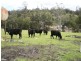 Mannings Jetty Road, North Motton TAS 7315