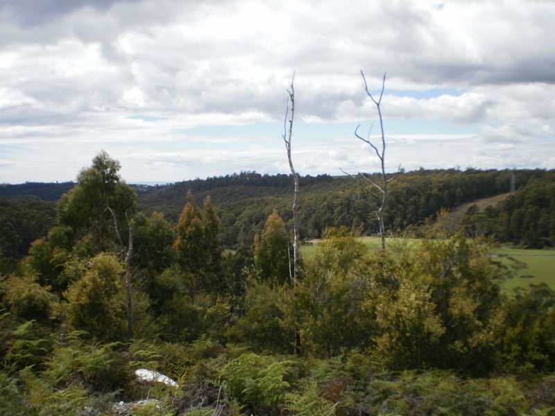 Mannings Jetty Road, North Motton TAS 7315