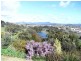 3 Gumnut Place, Ulverstone TAS 7315