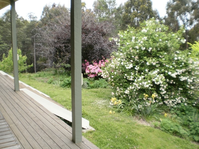 .237 Picketts Road, Abbotsham TAS 7315