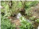 .237 Picketts Road, Abbotsham TAS 7315