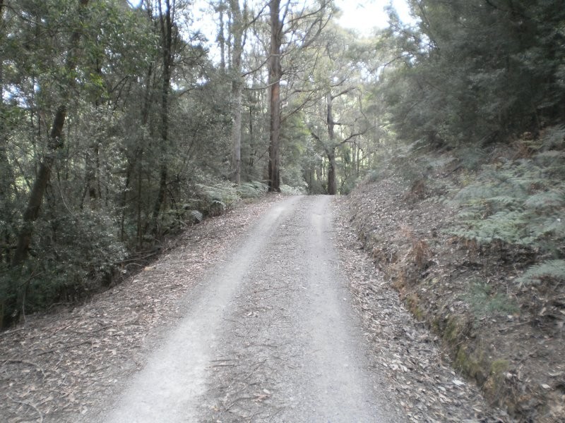.237 Picketts Road, Abbotsham TAS 7315