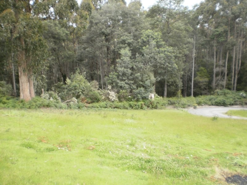.237 Picketts Road, Abbotsham TAS 7315
