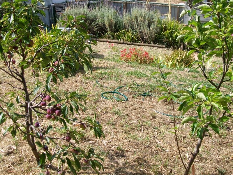 4 William Street, Ulverstone TAS 7315