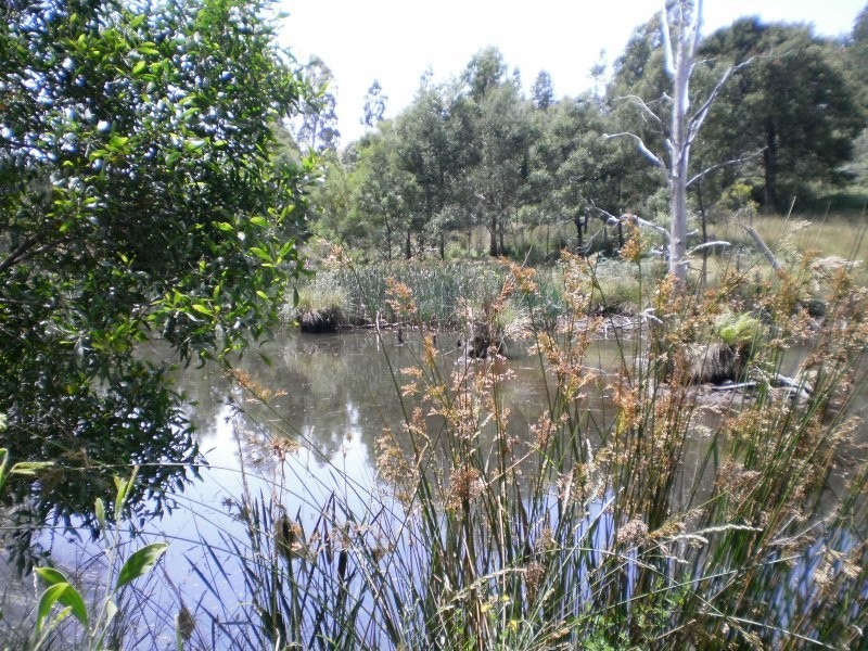 60 Touchstone Lane, Gawler TAS 7315