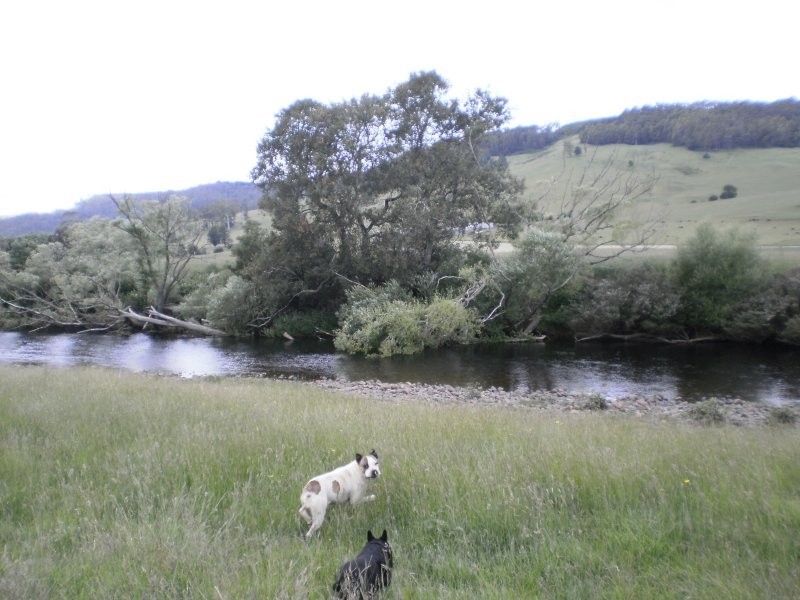 Lowana Road, Gunns Plains TAS 7315