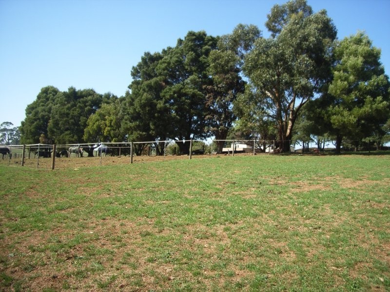 308 Mannings Jetty Road, North Motton TAS 7315