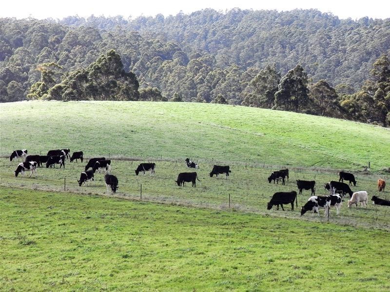 215 Jansens Road, South Riana TAS 7316