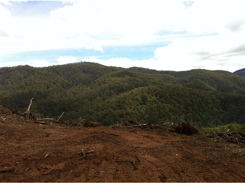 Harveys Road, North Motton TAS 7315