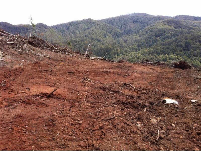 Harveys Road, North Motton TAS 7315