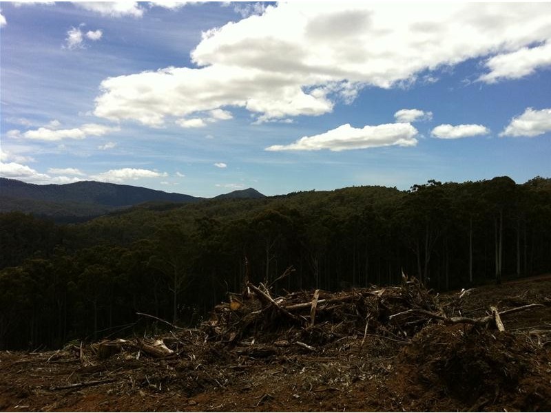 Harveys Road, North Motton TAS 7315