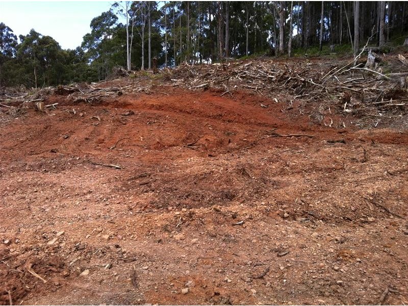 Harveys Road, North Motton TAS 7315
