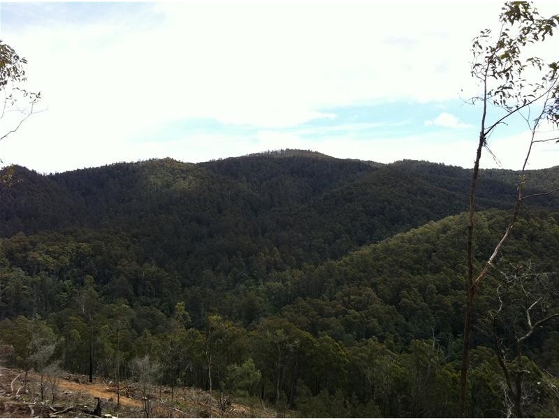 Harveys Road, North Motton TAS 7315