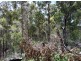 Harveys Road, North Motton TAS 7315