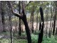 Harveys Road, North Motton TAS 7315