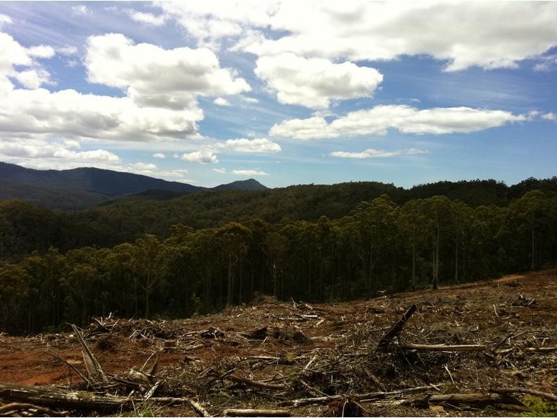 Lot 4, Harveys Road, North Motton TAS 7315