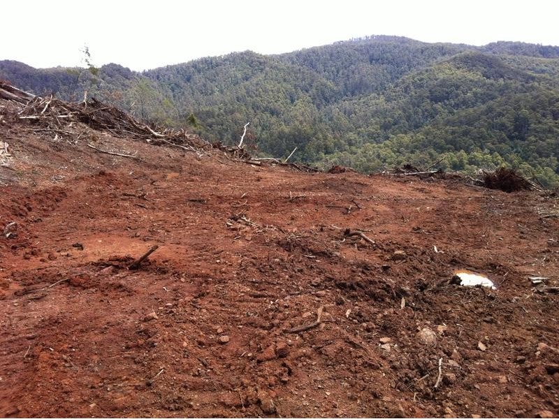 Lot 4, Harveys Road, North Motton TAS 7315