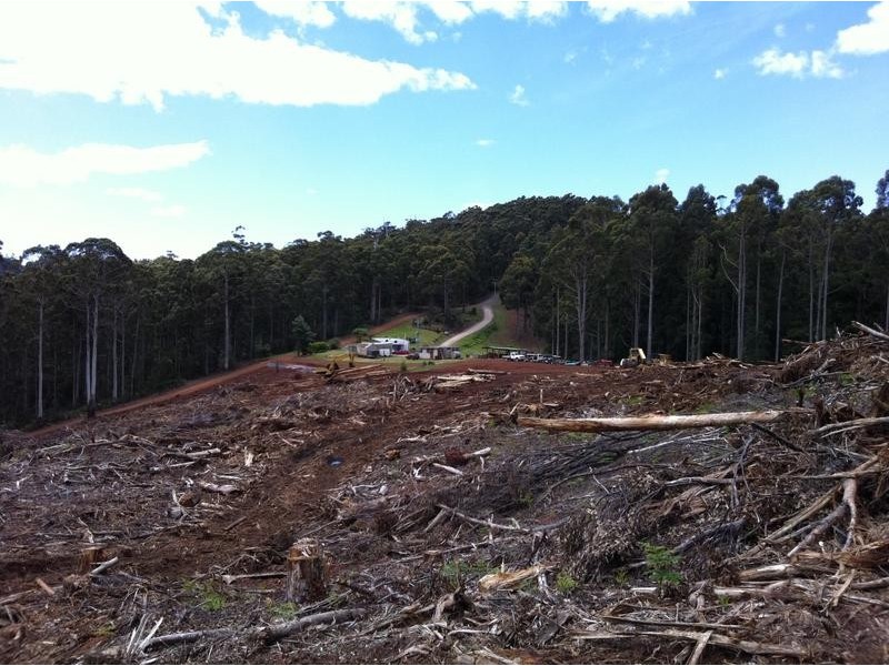 Lot 4, Harveys Road, North Motton TAS 7315