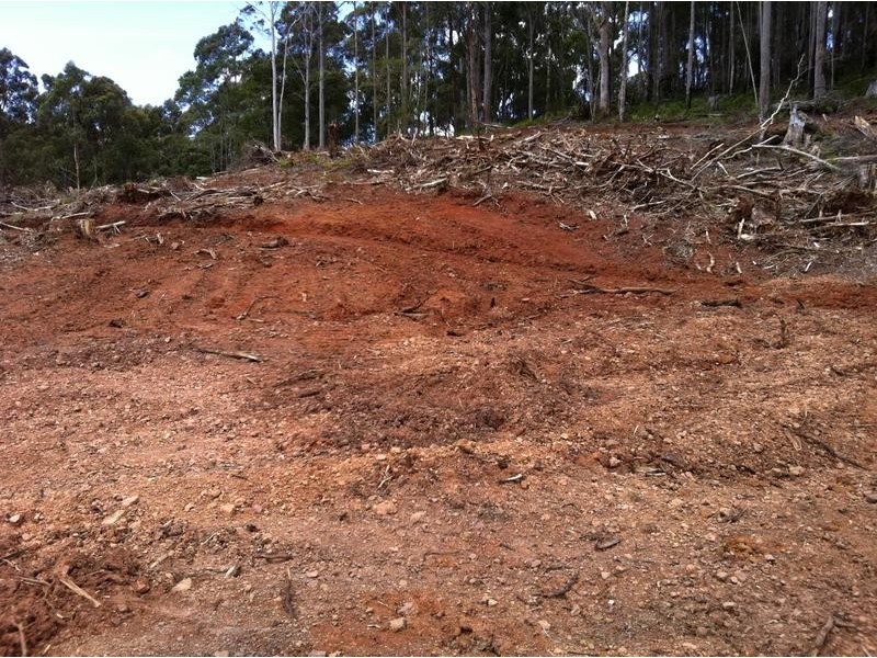 Lot 4, Harveys Road, North Motton TAS 7315