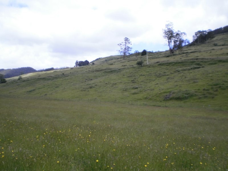 Lot *,  Lowana Road, Gunns Plains TAS 7315