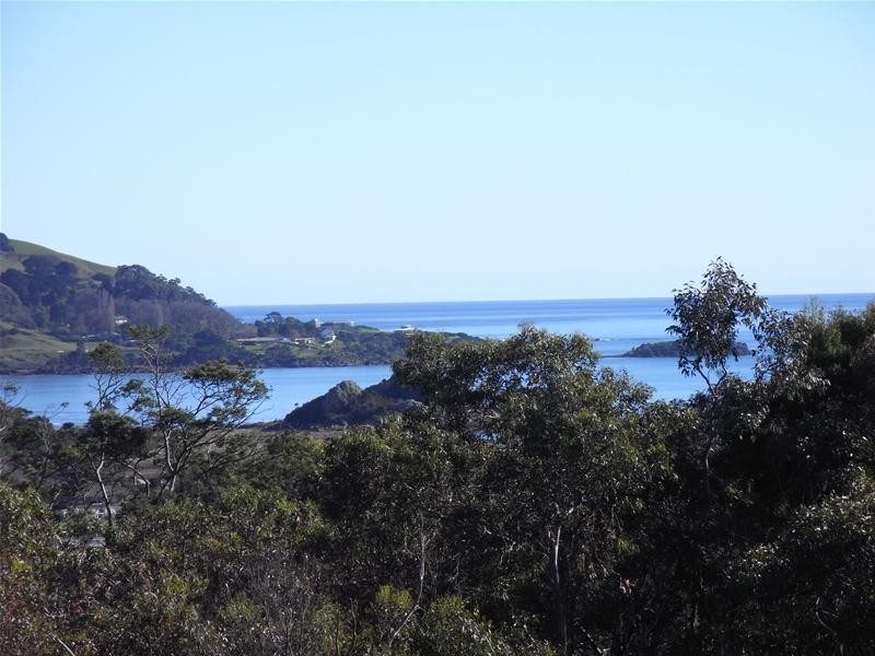 46 Amy Street, Ulverstone TAS 7315