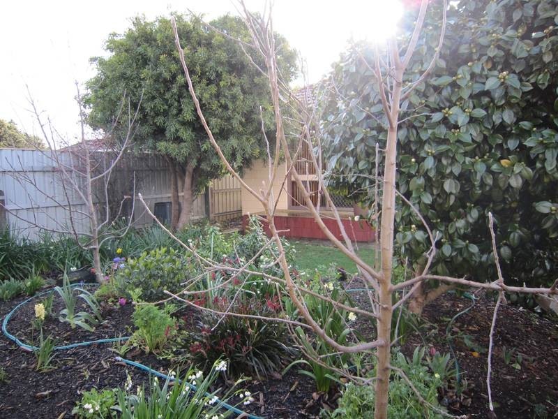 102 Alexandra Road, Ulverstone TAS 7315