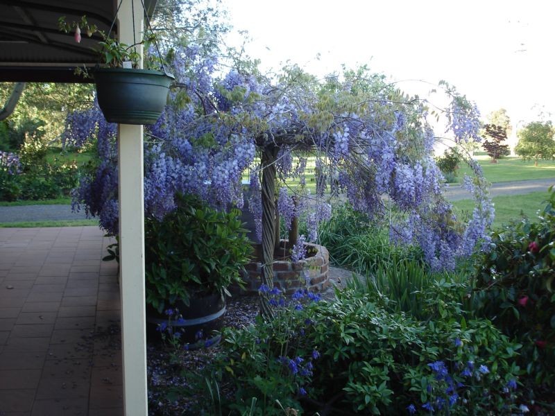 202 Pensioners Row, Westbury TAS 7303