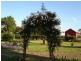 202 Pensioners Row, Westbury TAS 7303