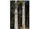 95 Cummings Drive, Meander TAS 7304