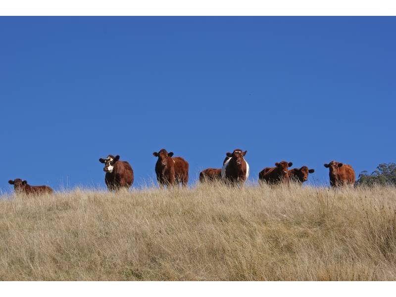 Lot 95 Cummings Drive, Meander TAS 7304