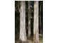 Lot 95 Cummings Drive, Meander TAS 7304