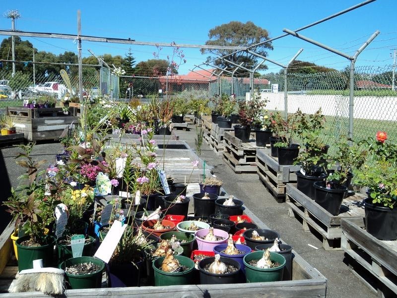 109 Eastland Drive, Ulverstone TAS 7315
