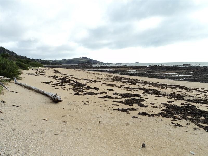 111 Penguin Road, Ulverstone TAS 7315