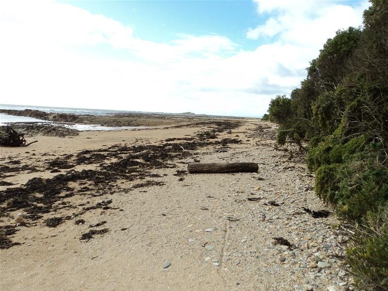 111 Penguin Road, Ulverstone TAS 7315