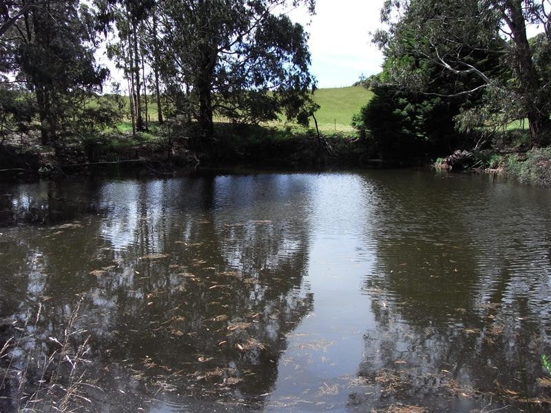 1564 Wilmot Road, Lower Wilmot TAS 7310