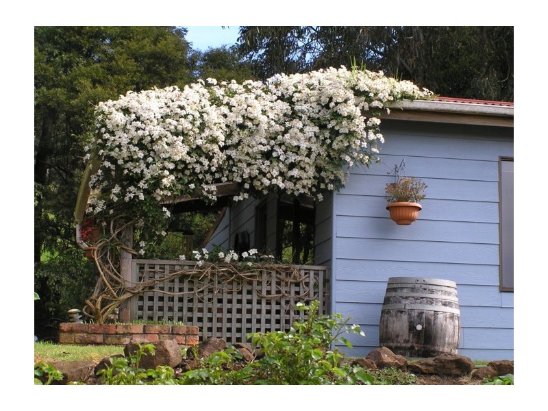321 Raymond Road, Gunns Plains TAS 7315