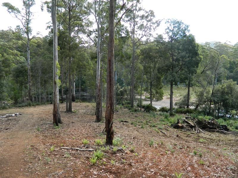 3 Harveys Road, North Motton TAS 7315