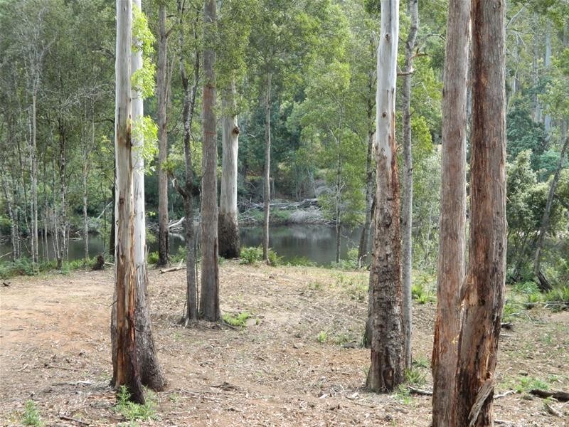 3 Harveys Road, North Motton TAS 7315