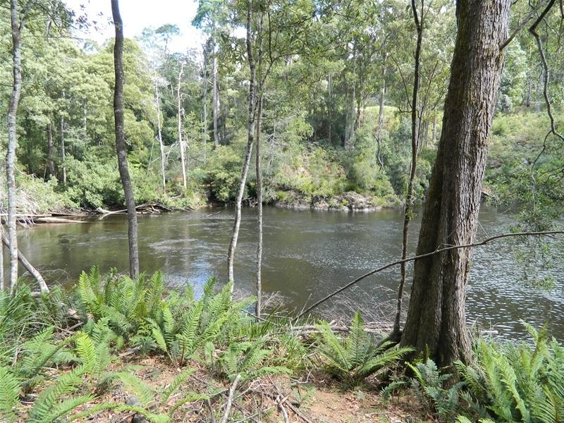 3 Harveys Road, North Motton TAS 7315
