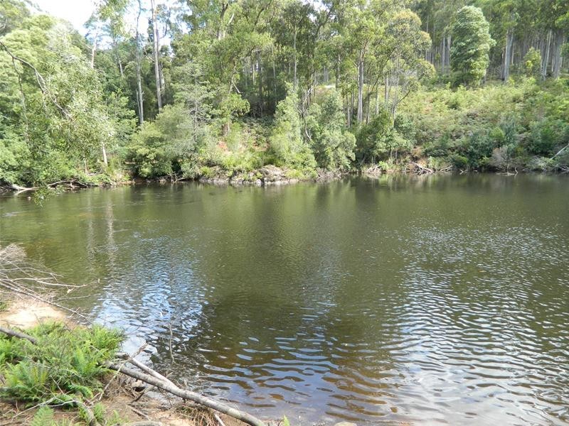 3 Harveys Road, North Motton TAS 7315