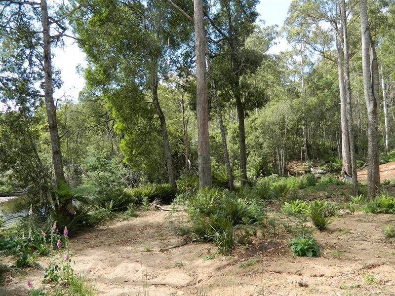 3 Harveys Road, North Motton TAS 7315